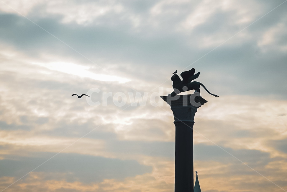 하늘,갈매기,기둥,실루엣,그림자,sky,bird,pillar,sillhouette
