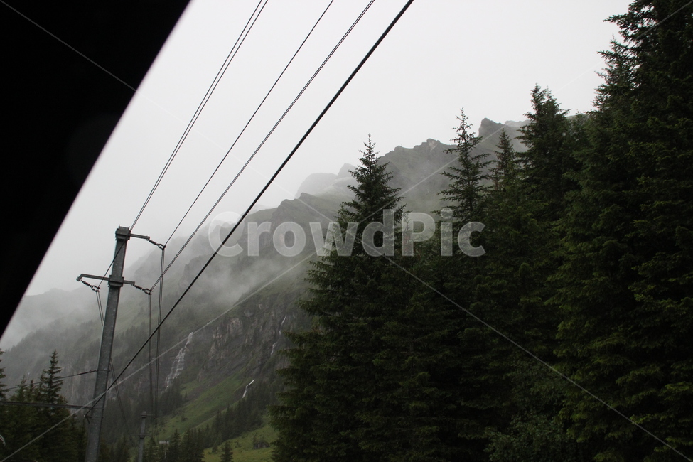 인터라켄,융프라우산,융프라우,기차,열차,스위스,interlaken,jungfraumt,jungfrau,train,swiss,switzerland,자연,풍경,nature,landscape,해외,외국,세계,foreign,oversea,world,세계자연풍경,해외자연풍경,외국자연풍경,world nature landscape,tree,나무,plant,식물