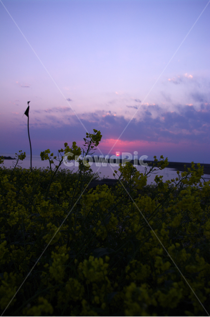 하늘,석양,노을,일몰,구름,빛,풍경,바다,sunset,안면도,꽃지해변,자연,풍경,nature,landscape,outdoors,옥외,light,flare,플레어,sky