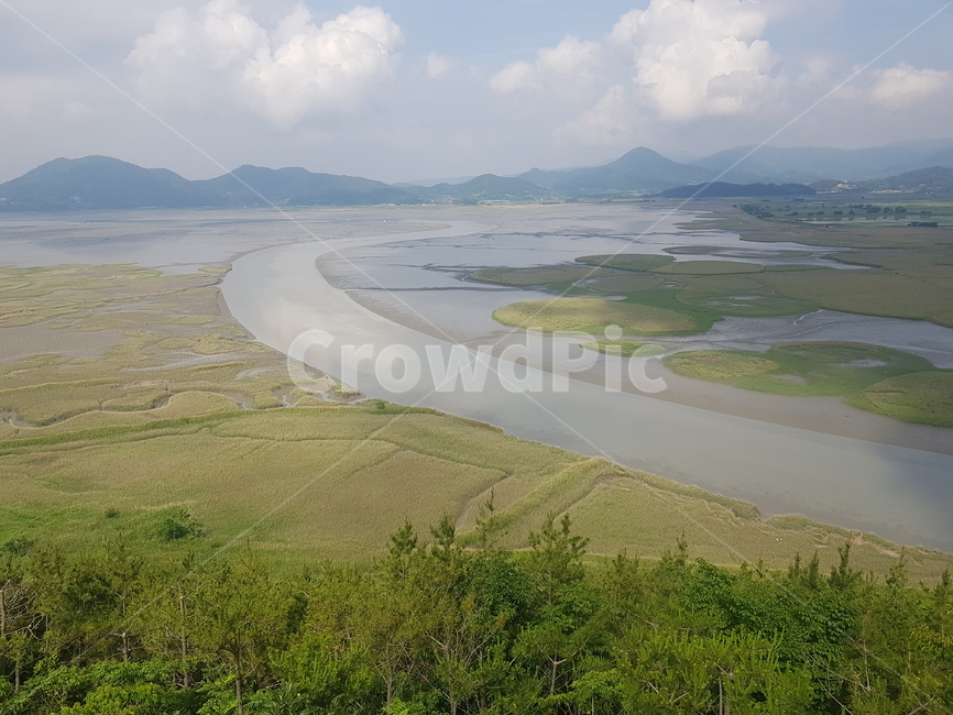 전라남도,순천,순천만,순천만습지,습지,세계5대연안습지,람사르습지,s곡류,suncheonbay,순천만생태습지,하늘,구름,파란하늘,여름,여름하늘,용산전망대,칠면초