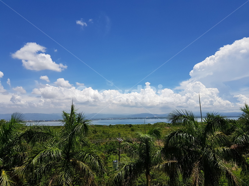 weather,날씨,nature,자연,outdoors,나무,tree,식물,plant,옥외,cumulus,적운,sky,하늘,여름,summer,구름,cloud,자연,풍경,nature,landscape