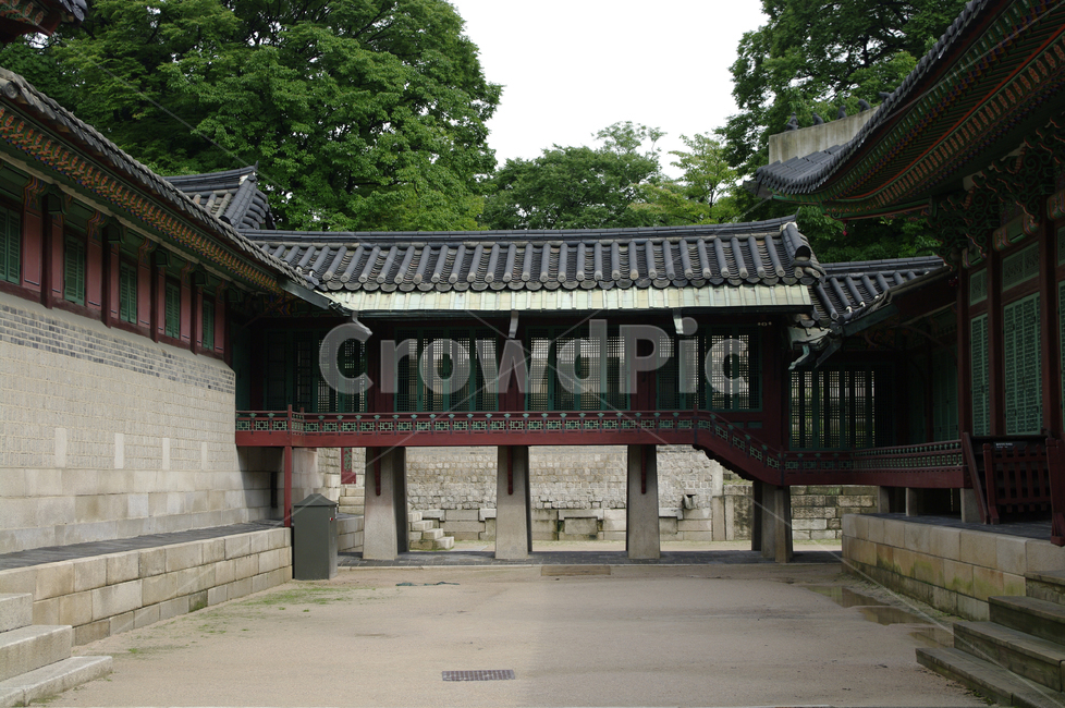 창덕궁,고궁,한옥,전통가옥,기와지붕,건축,traditional,한국전통,한국문화,korean traditional,korean culture,랜드마크,landmark,tourist attraction,한국랜드마크,한국관광지,한국명소,korea landmark,korea tourist attraction,건축물,건물외관,exterior,building,structure,architecture,construction