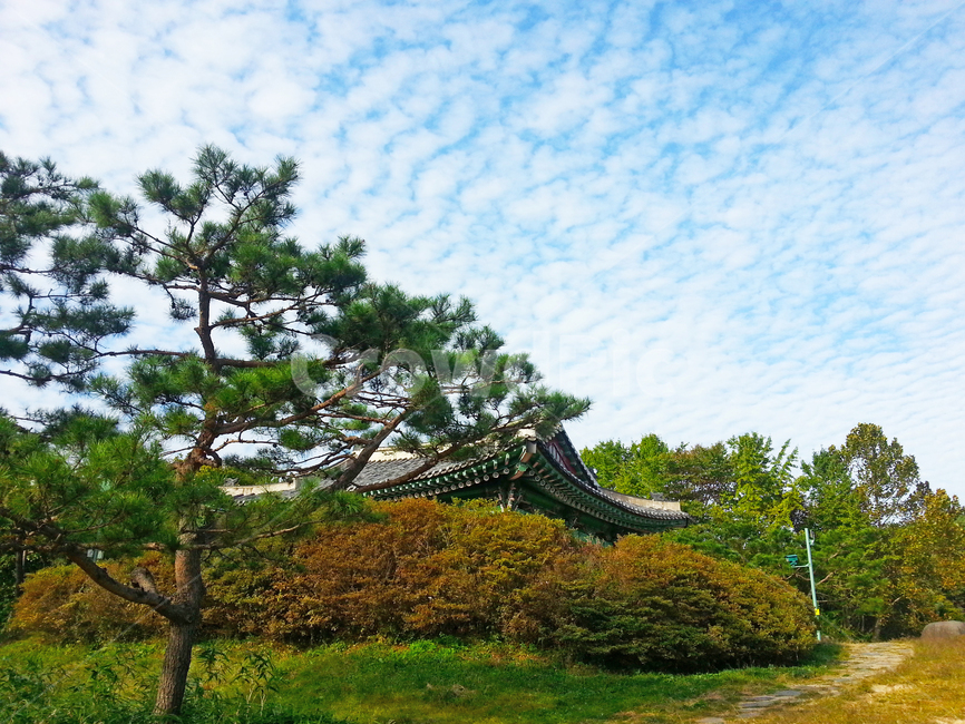 상당산성,산성,성곽길,둘레길,숲,숲길,여름,풍경,식물,등산,자연,하늘,한국문화,나무,옥외,산책,outdoors,tree,plant,nature,sky,bluish,mountain,koreantraditional,acid,landscape,walk,자연,풍경,nature,landscape