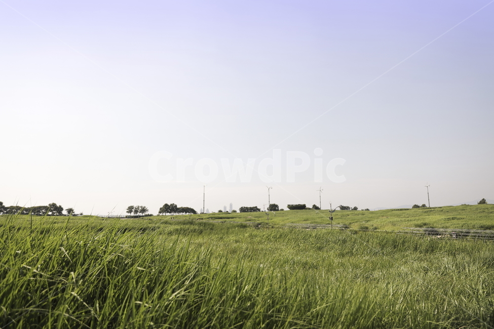 하늘공원,초원,그리움,인생,그린,하늘,로하스,웰빙,풀,잔디,풀밭,평원,고요,들판,날씨,풍경,nature,landscape,식물,편안함,부드러움,자연,풍경,nature,landscape,field,들,grassland,목초지,outdoors,옥외,grass,plant