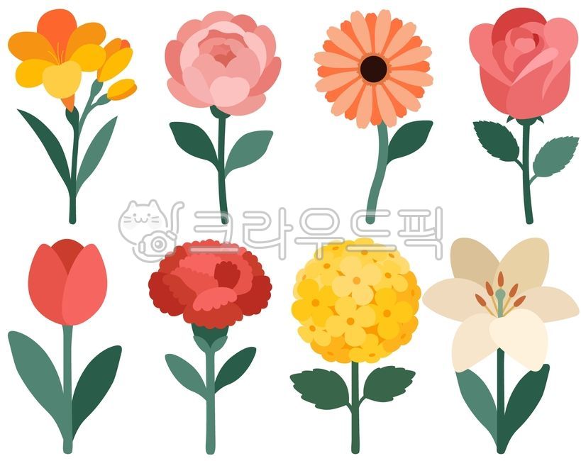 Flower,single flower,front,bouquet,illustration,drawing,flower shop,flower garden,plant,vector,freesia,peony,gerbera,chrysanthemum,rose,tulip,carnation,hydrangea,lily,lily,petal,bouquet,garden