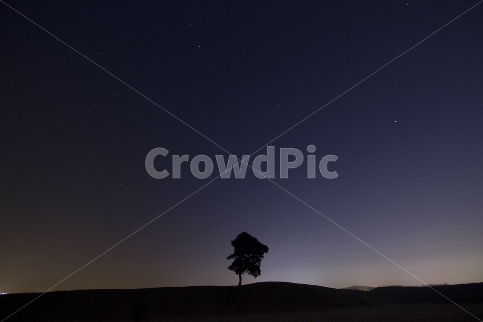 야간,정복동토성,정북토성,밤,나무,밤하늘,자연,풍경,nature,landscape,야경,밤,nightscape,night,식물,plants,나무,trees,wood,outdoors,옥외