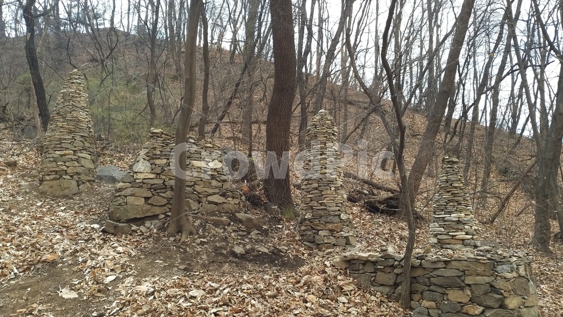 돌,바닥,ground,나무,산