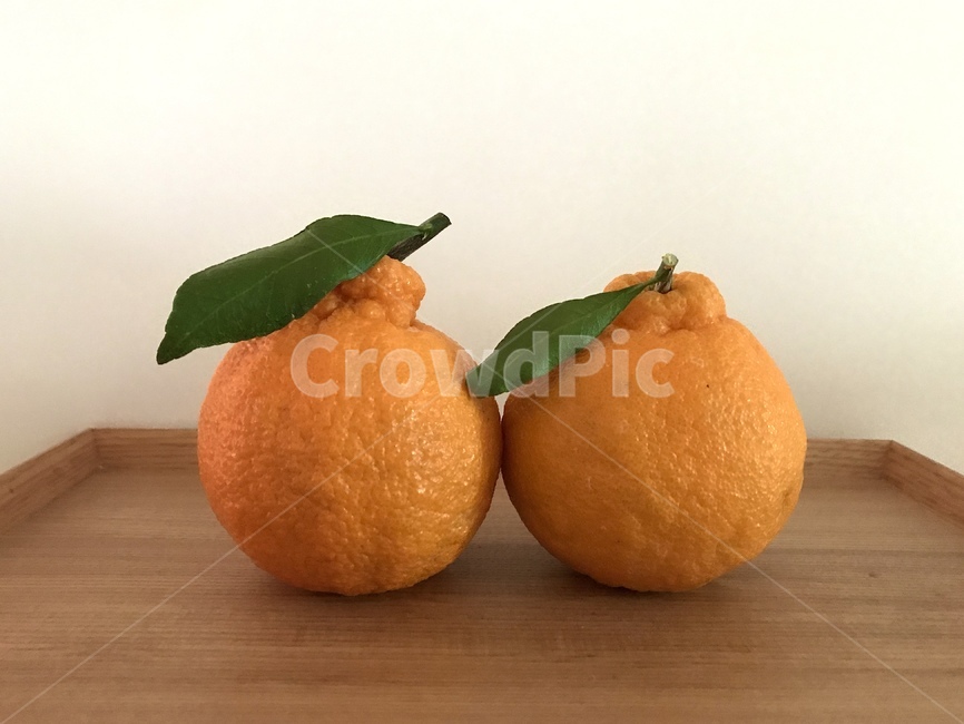 과일,hanlabong,fruit,감귤류과일,한라봉