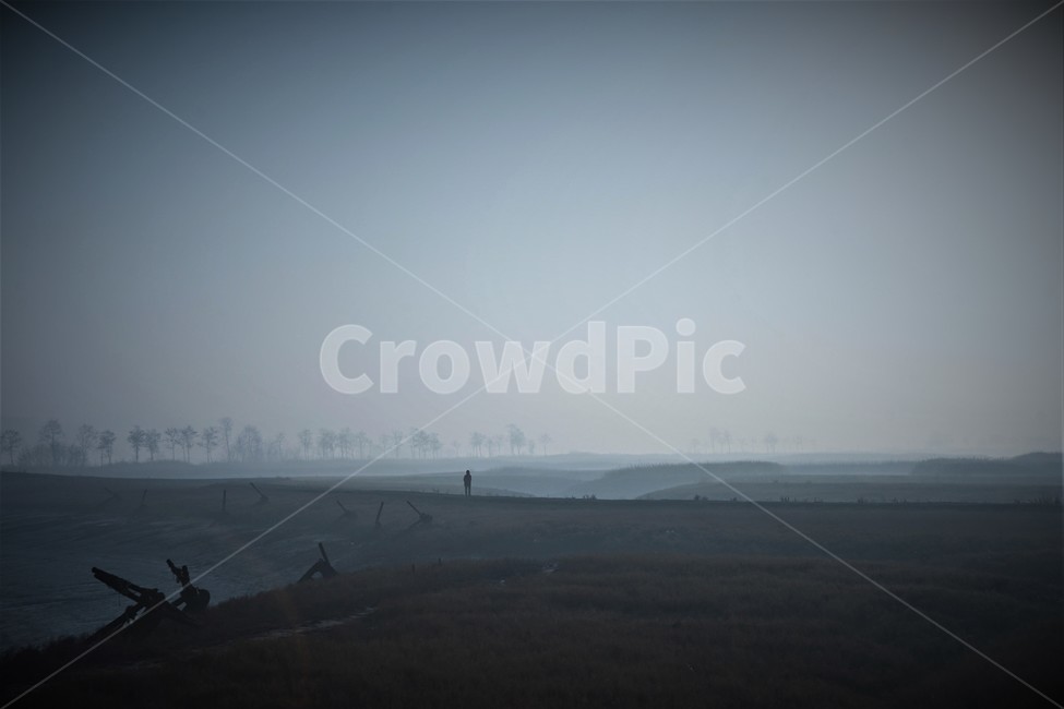 안개,소래,갯골,여명,나무,풍경,자연,풍경,nature,landscape,outdoors,옥외