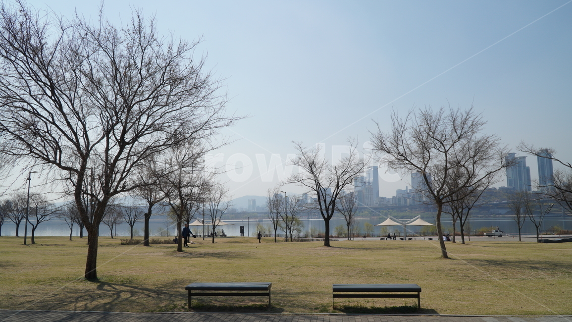 한강,도시,공원,벤치,나무,휴식