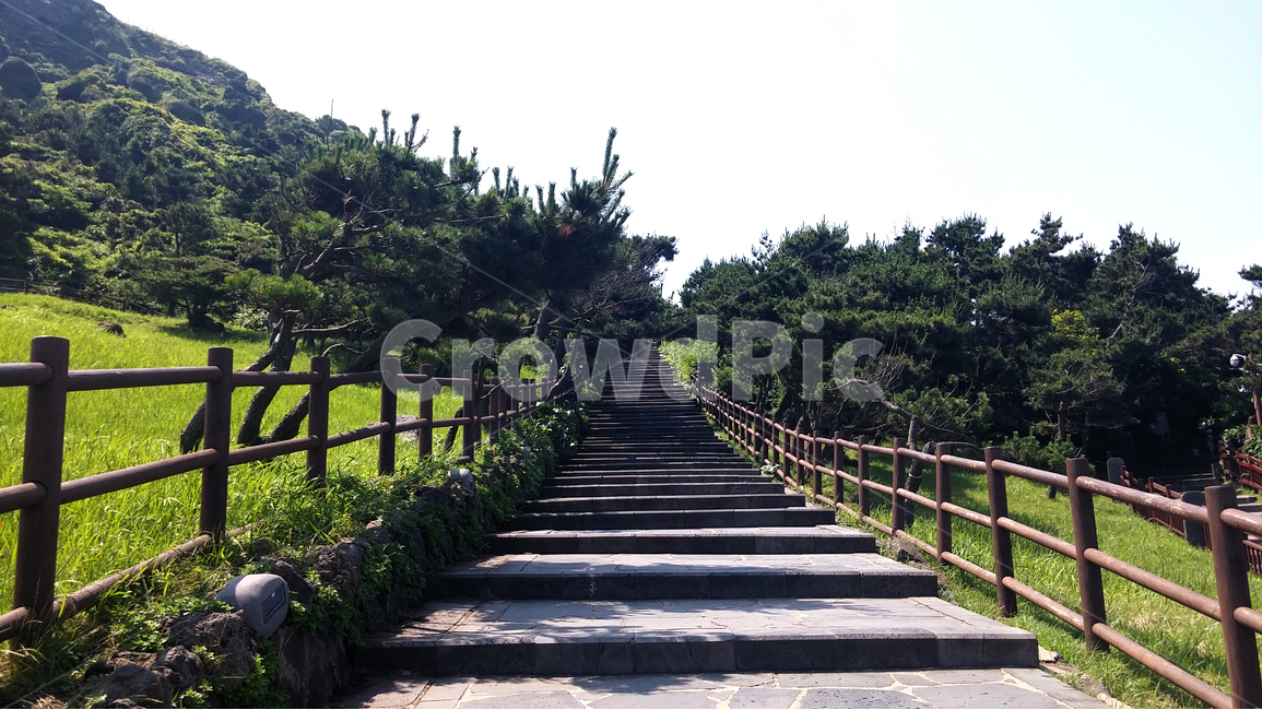 제주도,계단,잔디,자연,여름,자연,풍경,nature,landscape,한국자연풍경,한국자연경관,korea nature landscape,제주도,jeju,jeju island,outdoors,옥외,arbour,정자,garden,정원