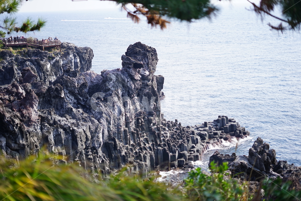 해안,절벽,주상절리,columnarjoint,seashorecliff,자연,풍경,nature,landscape,한국자연풍경,한국자연경관,korea nature landscape,cliff,낭떠러지,outdoors,옥외