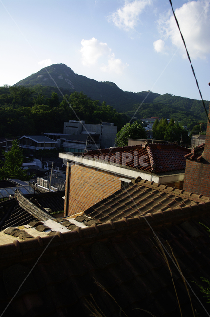 전통가옥,한옥,기와지붕,지붕,주택,한국,산,roof