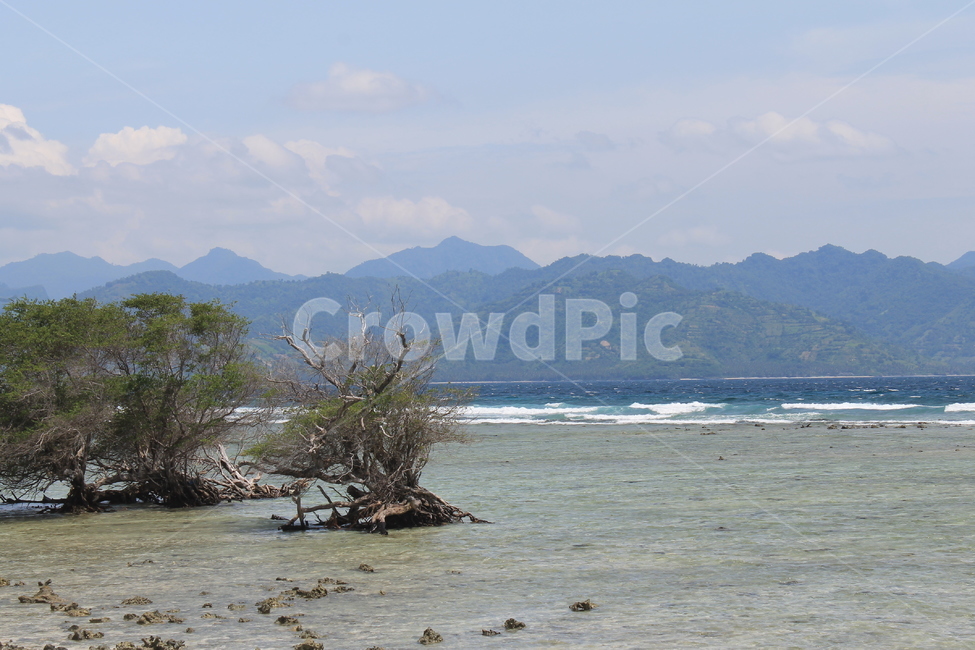 인도네시아,길리,해변,나무해변,나무,indonesia,gili,beach,treeandbeach,treeonthebeach,vacation,고즈넉