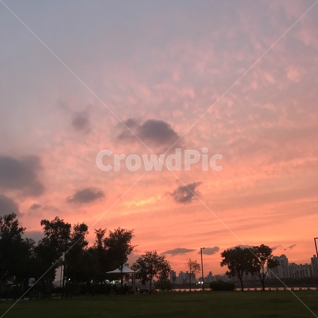 노을,노을지는공원,한강공원,잠실,잠실공원,자연,풍경,nature,landscape,outdoors,옥외,sky,하늘,grass,잔디,plant,식물