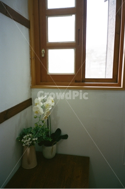 군산,꽃,화병,창문,풍경,카페,커피,인테리어,빛,구석,벽,cafe,flower,coffee,interior,창가,다다미
