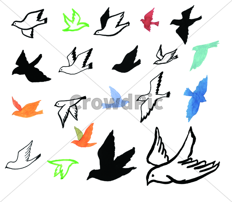 손그림,물감그림,handdrawing,watercolor,새,bird