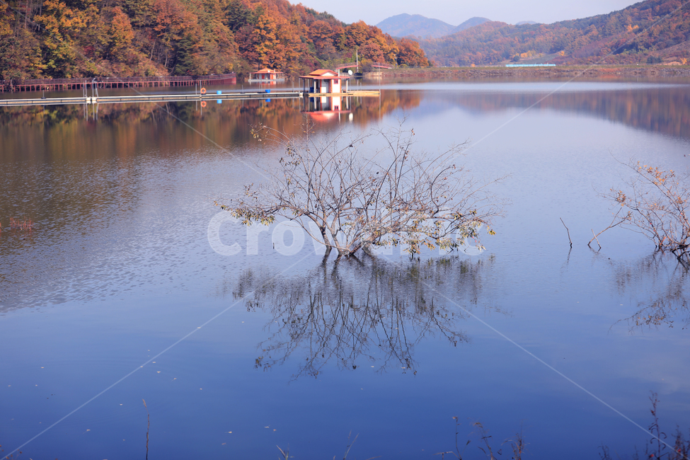 나무,물,하늘,가을,집,반영,가을,계절,fall,autumn,season,자연,풍경,nature,landscape,water,outdoors,옥외