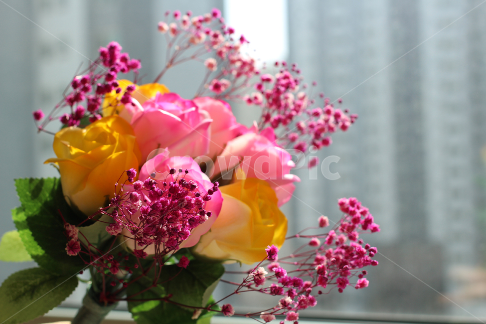 아파트,꽃다발,장미,안개꽃,분홍색꽃,노란색꽃,꽃,flower