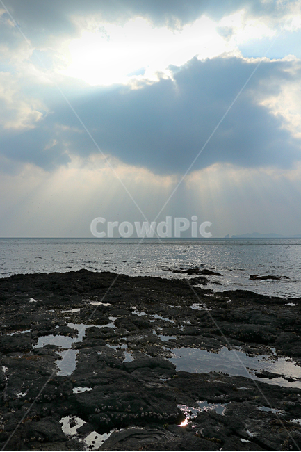 제주도,서귀포,박수기정,해안가,바다,풍경,옥외,자연,outdoors,nature