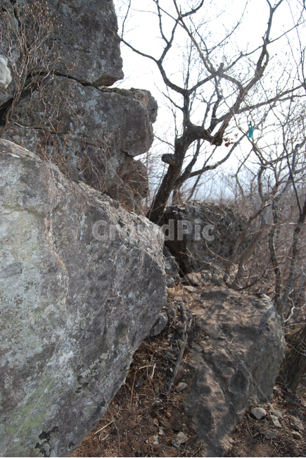 자굴산,의령군,휴양림,자연,봄,공원,겨울,계절,winter,season,자연,풍경,nature,landscape,한국자연풍경,한국자연경관,korea nature landscape,식물,plants,나무,trees,wood,outdoors,옥외,rock,록