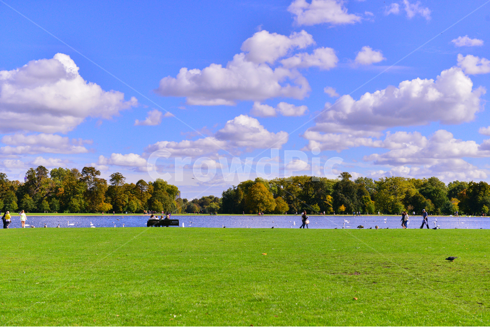 grass,잔디,구름,cloud,공원,park,nature,자연,lawn,자연,풍경,nature,landscape