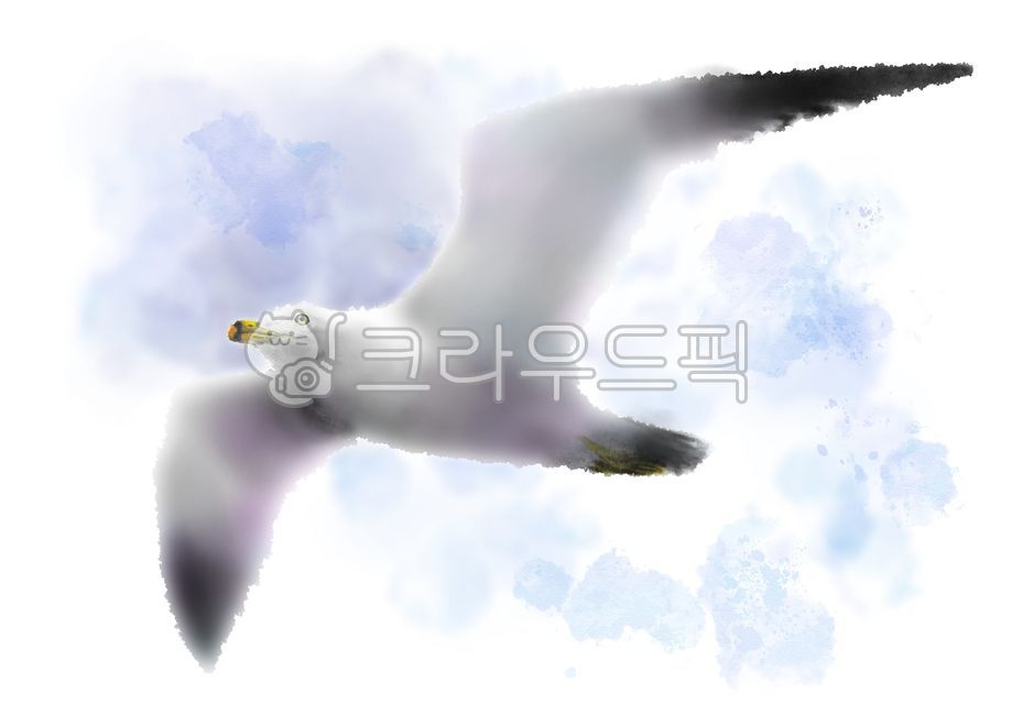 flight,gliding,Art,Nukki,beak,bird painting,wild animals,brush texture,beautiful,gray,freedom,New illustration,design,bird,Seagull,painting technique,graphic,sky,art,nature,hand drawing,black,Birds,seagull,brush touch,waterfowl,fly,White,blue,background,a