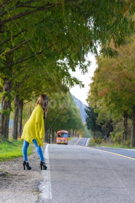 감성,가을,단풍,풍경,모래재,교통,교통수단,traffic,transportation,사람,인물,인간,human,person,여성,여자,woman,female,lady,연출,컨셉,콘셉,direction,concept,road,도로,sleeve,소매