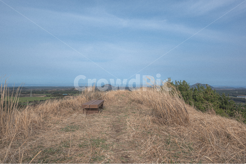 벤치,구름,제주,길,풀,풀밭,산책,감성,road,제주도,하늘,초원,sky,nature,grass,휴식,rest,relaxation,grassland,목초지,field,들,옥외,outdoors,자연,오름