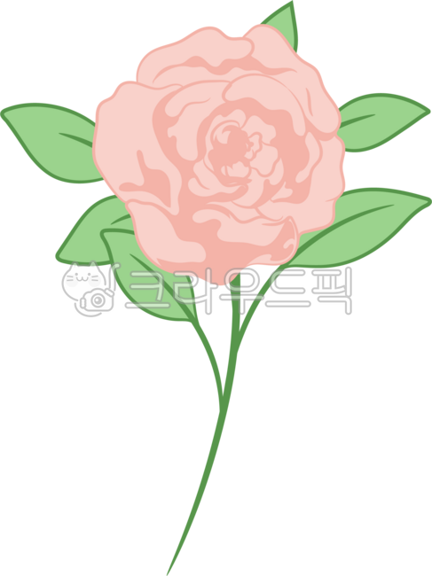 Rose,flower drawing,flower illustration,rose illustration,flower design,rose,plant,flower material,flower art,pretty flower,rose drawing,flower decoration,rose image,flower design,flower graphic,flower drawing source,plant illustration,ro
