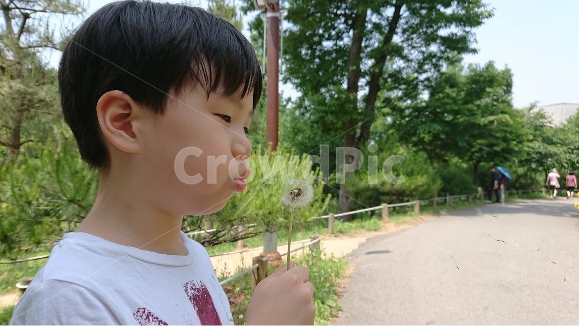 식물,풀,자연,풍경,민들레,민들레홀씨,아이,여름,식물,자연,plants,nature,꽃,flower,사람,인물,인간,human,person,얼굴표정,facial expression,face,어린이,어린아이,child,children,kid