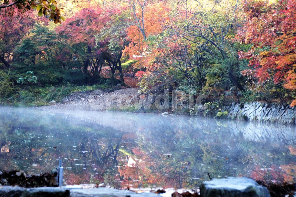가을,단풍,자연,나무,식물,저수지,그림자,산속,autumn,season,trees,nature,풍경,자연풍경,감성,emotion,안개,가을,계절,fall,autumn,season,tree,plant