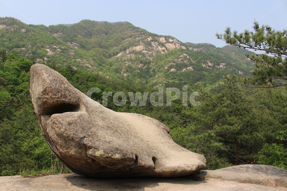 상어,상어바위,바위,돌,산,자연,mountain,rock,shark,nature,자연,풍경,nature,landscape,록,outdoors,옥외