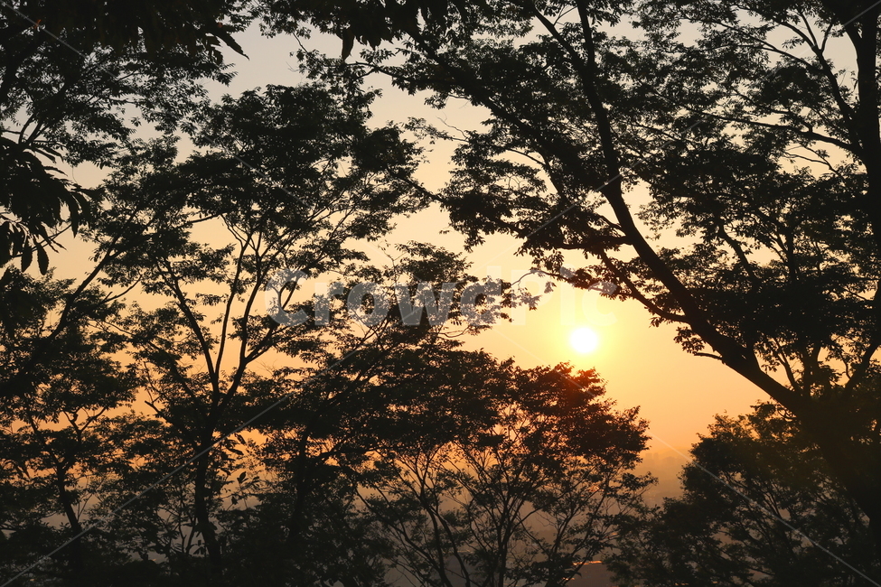노을,석양,하늘,자연,나무,태양,붉은노울,자연,풍경,nature,landscape,실루엣,그림자,silhouette,shadow,outdoors,옥외