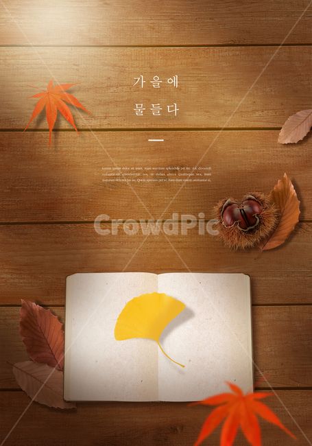 가을,편집,감성,단풍,책,밤,가을단풍,가을하늘,가을편집,가을감성,풍경,배경,감성편집,은행잎,낙엽,가을,계절,fall,autumn,season