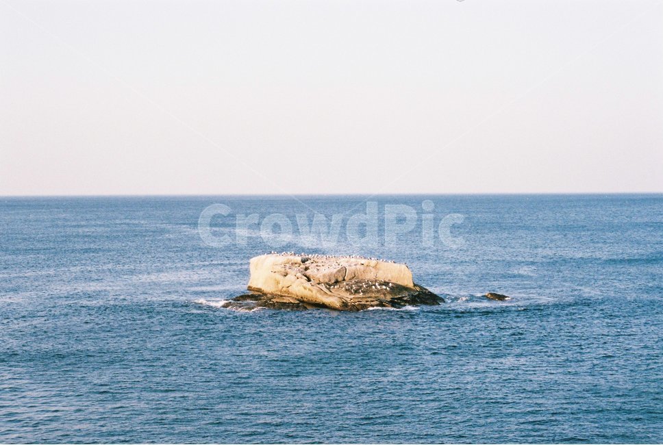 섬,바다,갈매기,풍경,가을,자연,풍경,nature,landscape,감성,sensible,feeling,promontory,곶,land,땅,outdoors,옥외