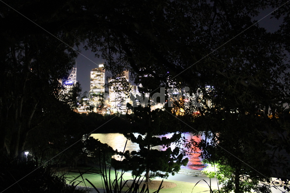 town,metropolis,building,urban,city,officebuilding,시드니야경,시드니,sydney,sydneynightview,nightscenery,nightscape,실루엣,silhouette,tree,나무,야경,밤,풍경,nightscape,night,landscape