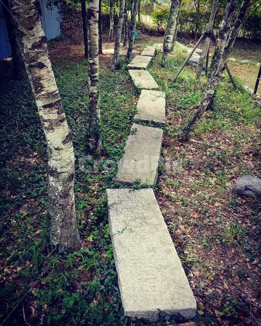 숲속길,나무,잔디,징검다리,힐링,자연,풍경,nature,landscape,ground,바닥,tree,plant,식물