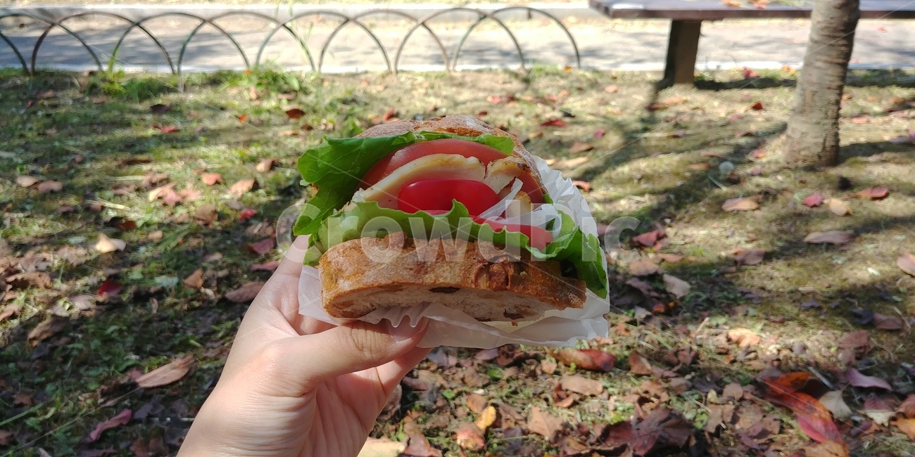 샌드위치,점심,식사,오후,빵,소풍,피크닉,음식,food,sandwich,picnic,낮