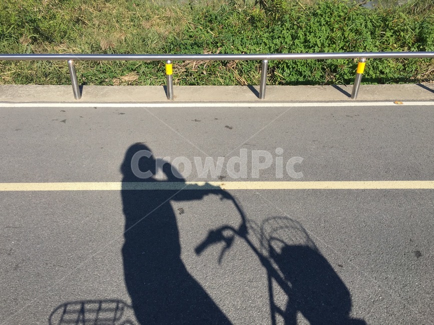 나무,단풍,가을,풍경,자연,tree,autumn,green,일상,바이킹,그림자,휴식,biking,달려
