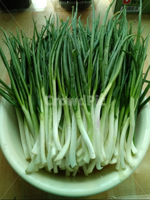 쪽파,식물,food,plant,백합과,인경채소,채소,실파,깐쪽파,음식,식재료,요리,food,cook,meal,dishes,food reserves