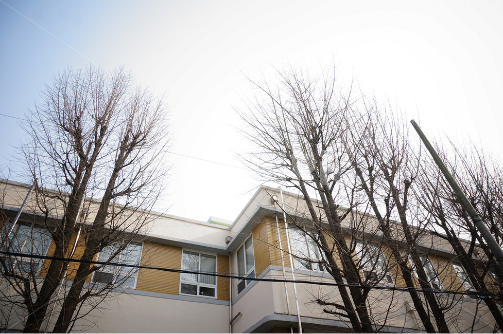 건물,창문,나무,앙상한,겨울,헐벗은,building,tree,나뭇가지,건축물,건물외관,exterior,building,structure,architecture,construction