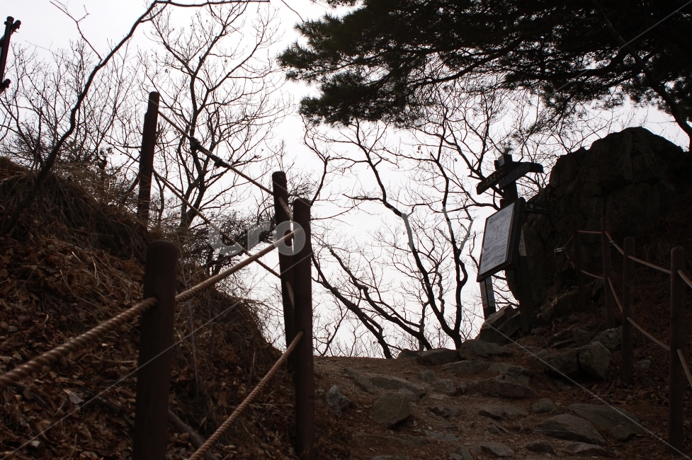 계룡산,연천봉,고개,이정표,등산,자연,풍경,nature,landscape