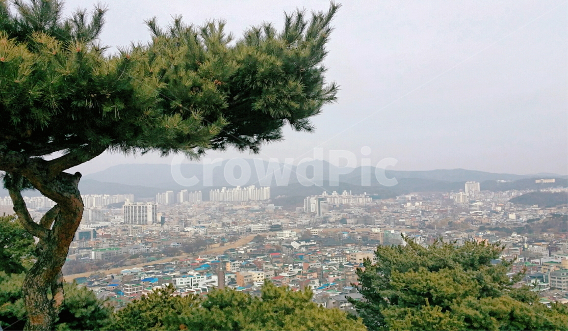 landscape,경치,outdoors,옥외,풍경,scenery,nature,aerialview,조감도,나무,야외,자연,하늘,도시,시티,산