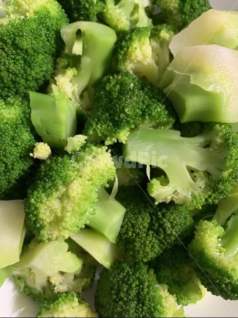 브로콜리,broccoli,야채,식물,food,음식,샐러드,채소,야채,vegetables