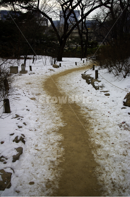 겨울,winter,풍경,설경,눈,길,나무,식물,plant,겨울,계절,winter,season,자연,풍경,nature,landscape
