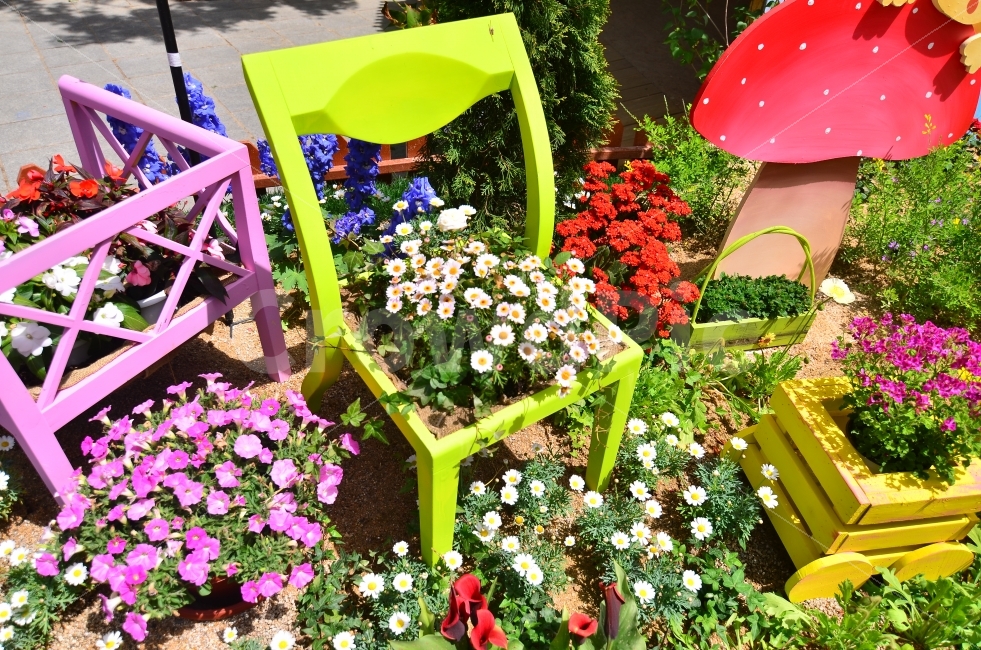 꽃,화원,정원,꽃박람회,예쁜꽃장식,식물,자연,plants,nature,꽃,flower