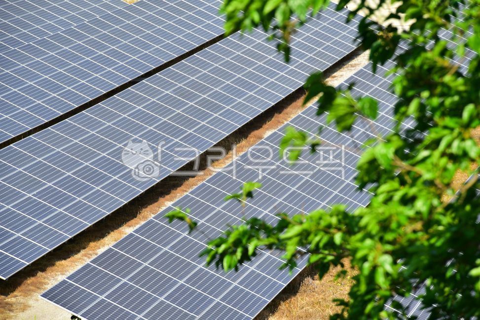 green power generation,green leaves,solar power generation,solar cell panel,eco,renewable energy,Development,power plant,energy,Green Energy,alternative energy,solar power,resource,solarpanel,tree,electrical,green energy,power generation,power generation 