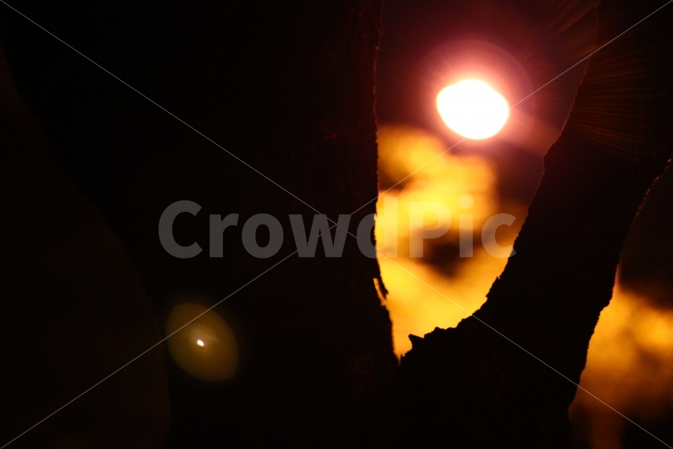 도시,나무,가로등,밤,야경,night,자연,야경,밤,풍경,nightscape,night,landscape,감성,sensible,feeling,light,빛,flare,플레어