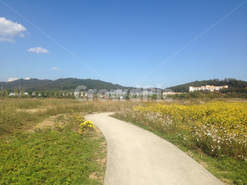 길,산책길,자전거길,자연,풍경,휴식,road,bicycle,자연,풍경,nature,landscape,도로,asphalt,아스팔트,outdoors,옥외